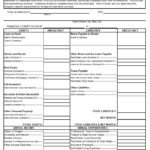 40+ Personal Financial Statement Templates & Forms ᐅ Regarding Blank Personal Financial Statement Template