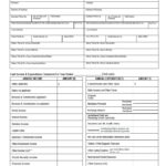 40+ Personal Financial Statement Templates & Forms ᐅ With Blank Personal Financial Statement Template
