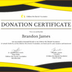 5+ Donation Certificate Template | Instinctual Intelligence With Regard To Donation Certificate Template