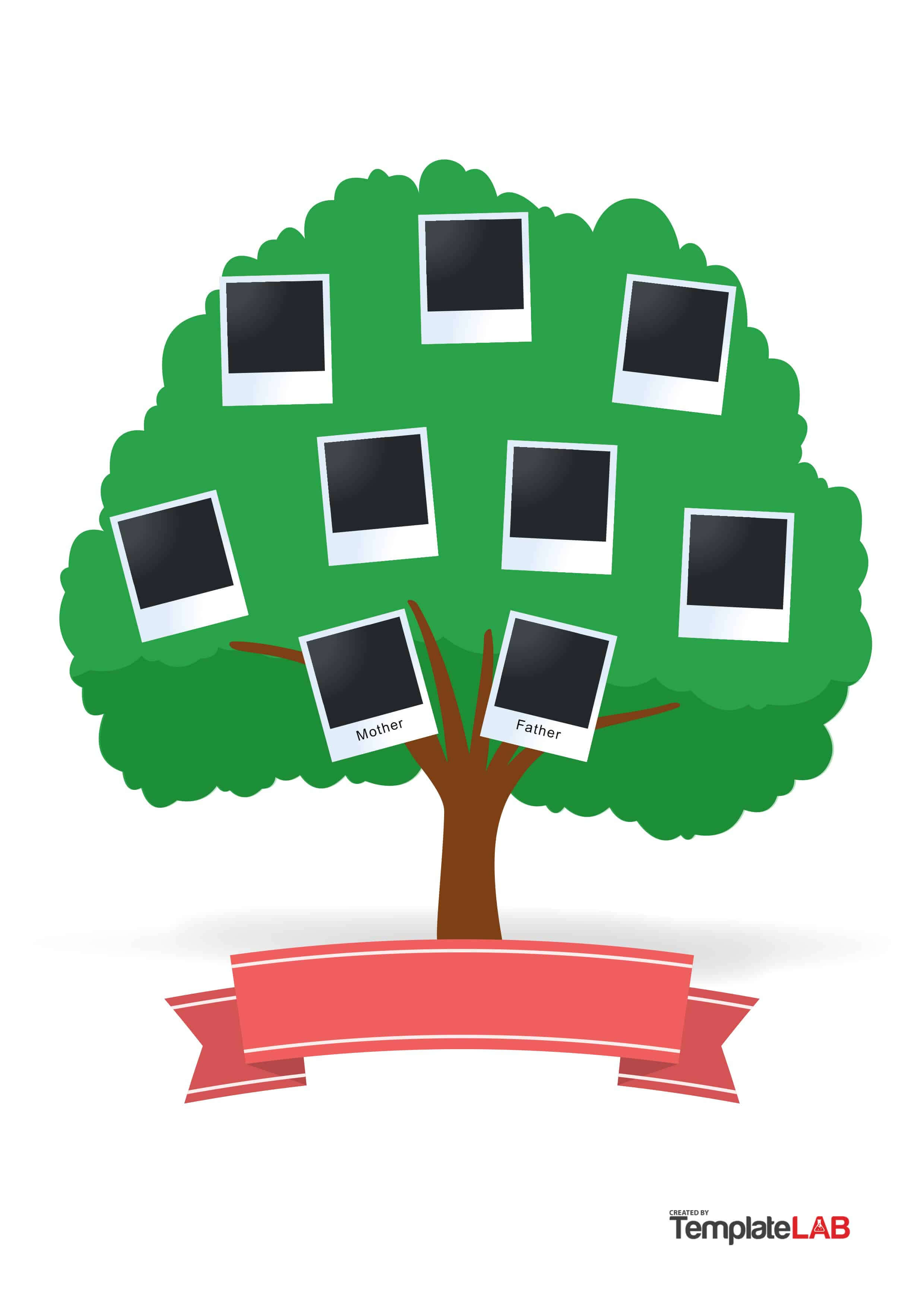 50+ Free Family Tree Templates (Word, Excel, Pdf) ᐅ Within 3 Generation Family Tree Template Word