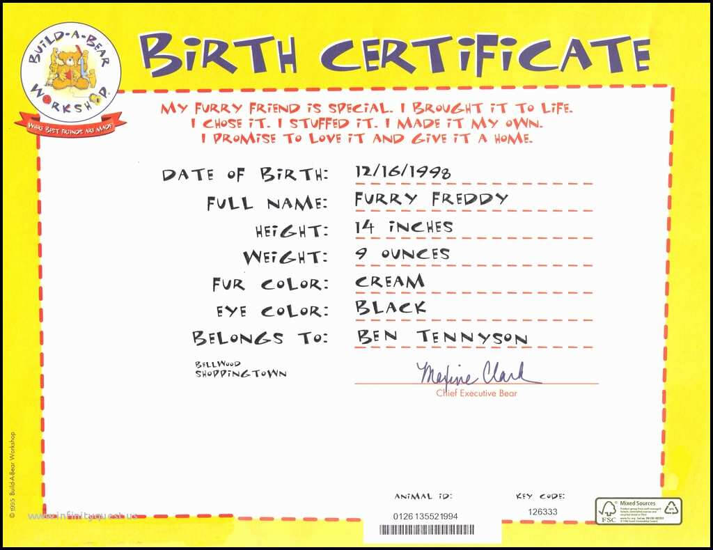 50 Superior Of Build A Bear Birth Certificate | Document Inside Build A Bear Birth Certificate Template