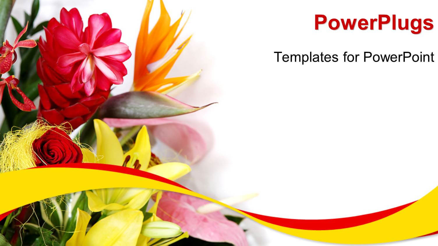 5000+ Greeting Card Powerpoint Templates W/ Greeting Card With Greeting Card Template Powerpoint