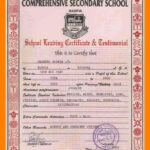 6+ School Leaving Certificate Format | New Looks Wellness With Leaving Certificate Template
