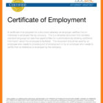 7 Certificate Employment Sample Format Cashier Resumes – The Pertaining To Sample Certificate Employment Template