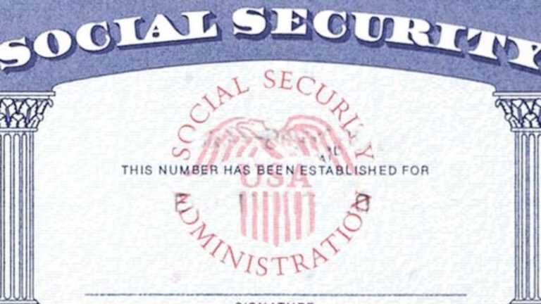 Social Security Card Template Psd
