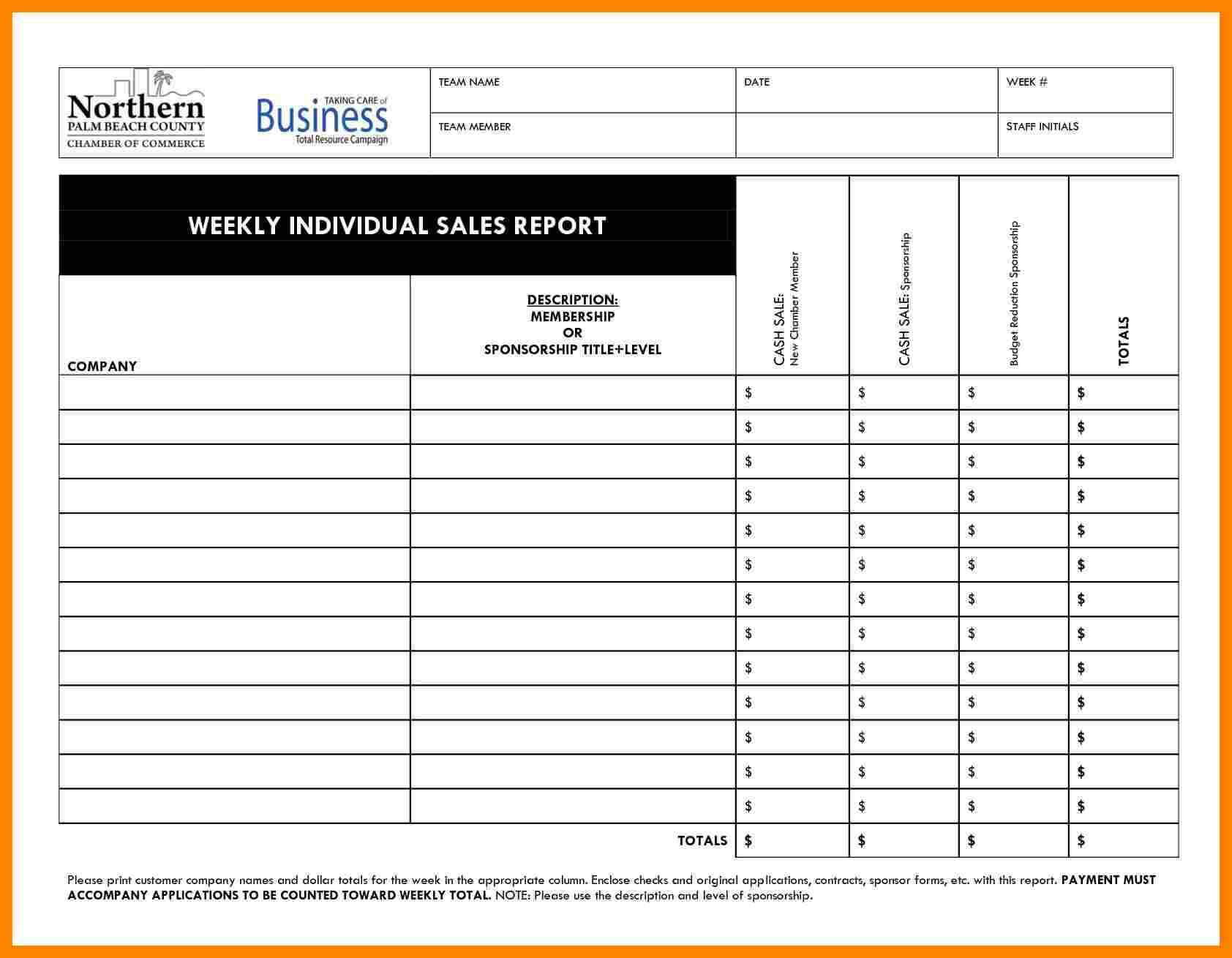 8+ Daily Activity Report Template Free Download | Lobo In Sales Call Report Template Free