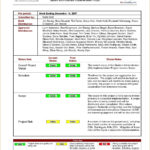 8+ Weekly Status Report Examples – Pdf | Examples Regarding Project Implementation Report Template