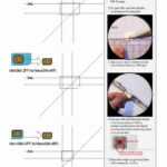 9 10 Micro Sim To Nano Sim Template | Juliasrestaurantnj Throughout Sim Card Template Pdf