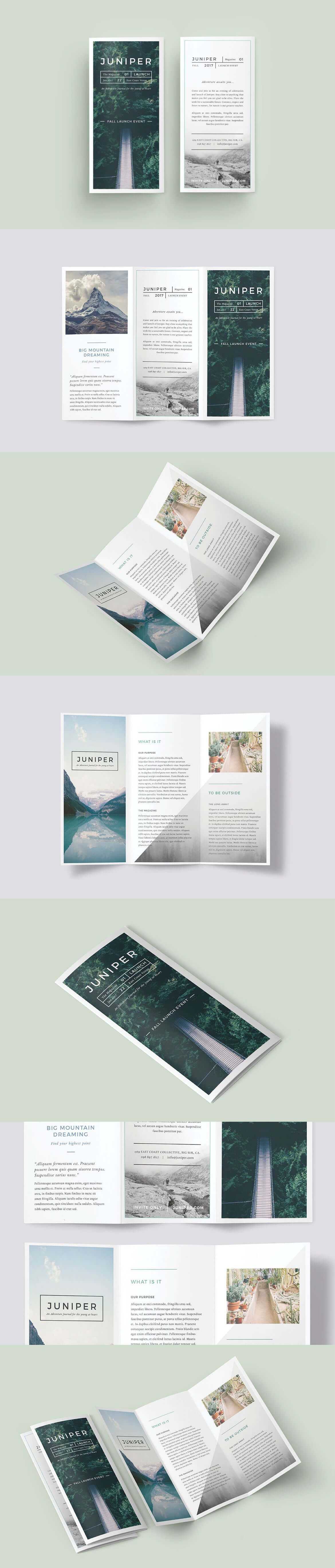 A Beautiful Multipurpose Tri Fold Dl Brochure Template Within Tri Fold Brochure Template Indesign Free Download