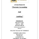 A Project Report On Forensic Accounting And Auditing In Forensic Accounting Report Template