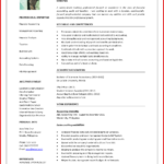 Accounts Cv Format Gese Ciceros Co Report Accountants Intended For Forensic Accounting Report Template