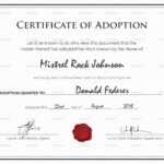 Adoption Certificate Template You Will Never Believe These Intended For Child Adoption Certificate Template