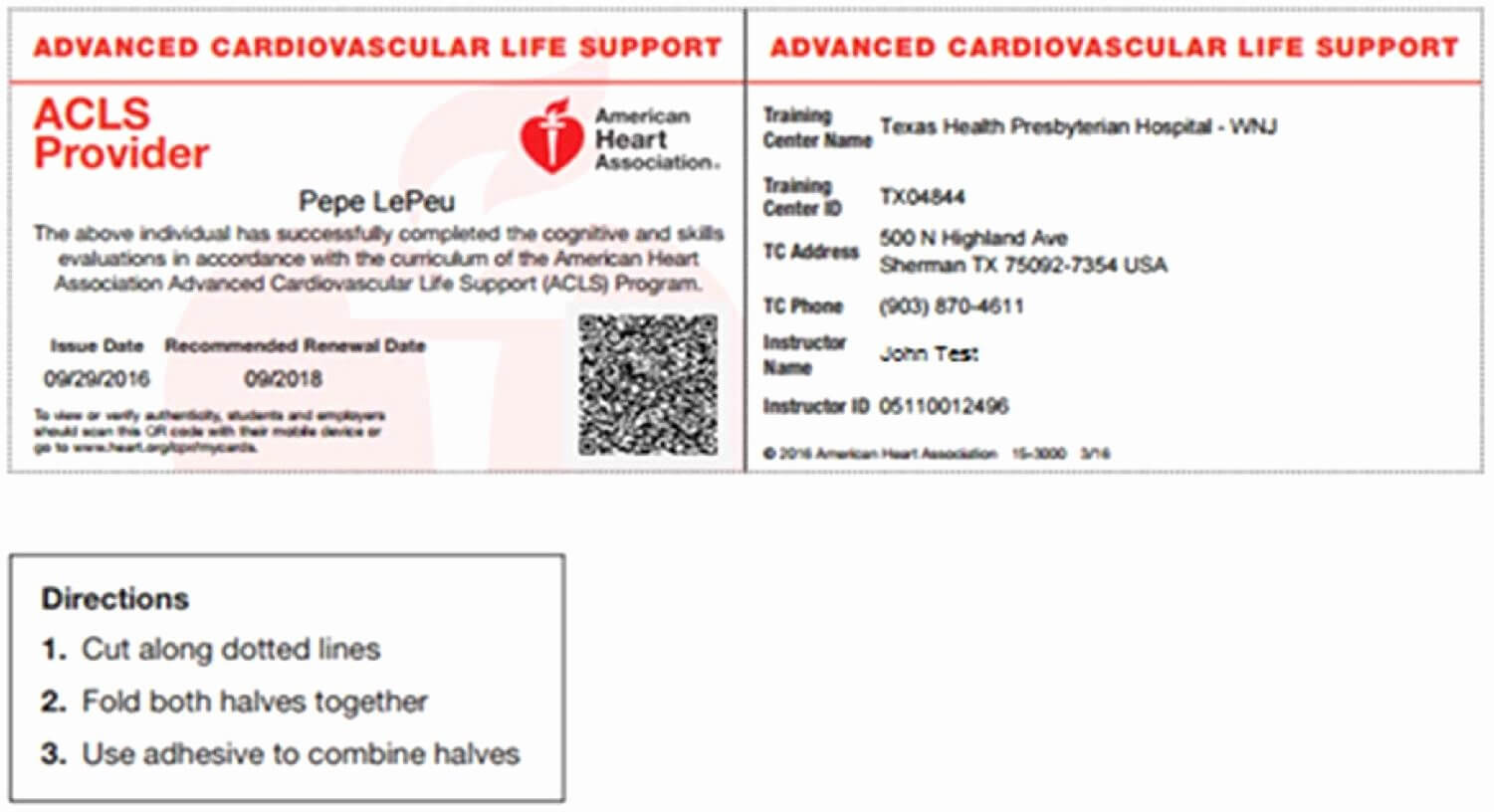 Aha Cpr Card Template | Template Modern Design Throughout Cpr Card Template