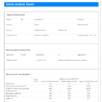 Analysis Report Template Modifi Semen The Main Difference Regarding Failure Analysis Report Template