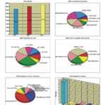 Analyst Report Sample Investment Sis Qualitative Data With Business Analyst Report Template