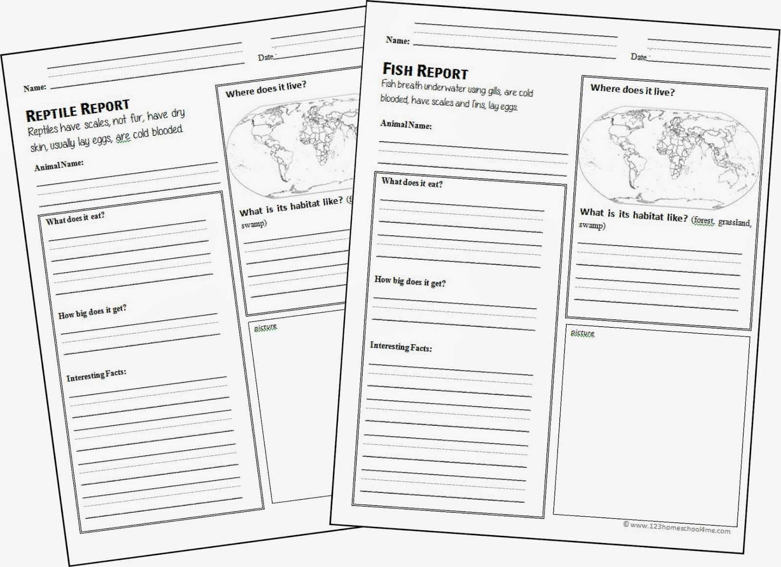Animal Book Report 2Nd Grade Pertaining To Animal Report Template