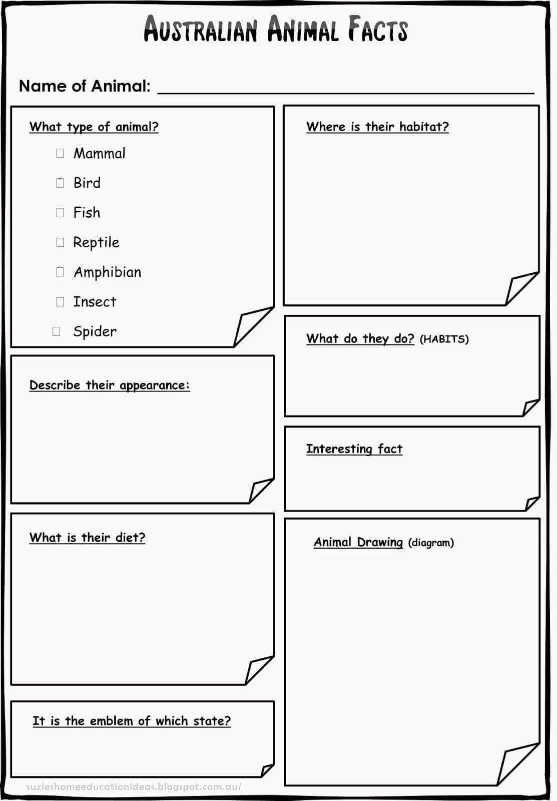 Animal Report Template Book Free 1St Grade How To Write Regarding Animal Report Template