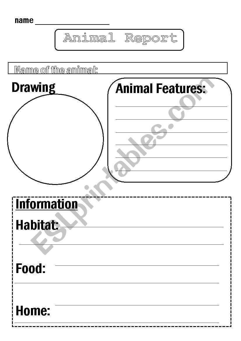 Animal Report Template – Esl Worksheetflora.m123 In Animal Report Template