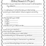 Animal Report Template Research Things Teachers Love Regarding Animal Report Template