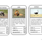 Animal Top Trumps Game – English Esl Powerpoints Within Top Trump Card Template