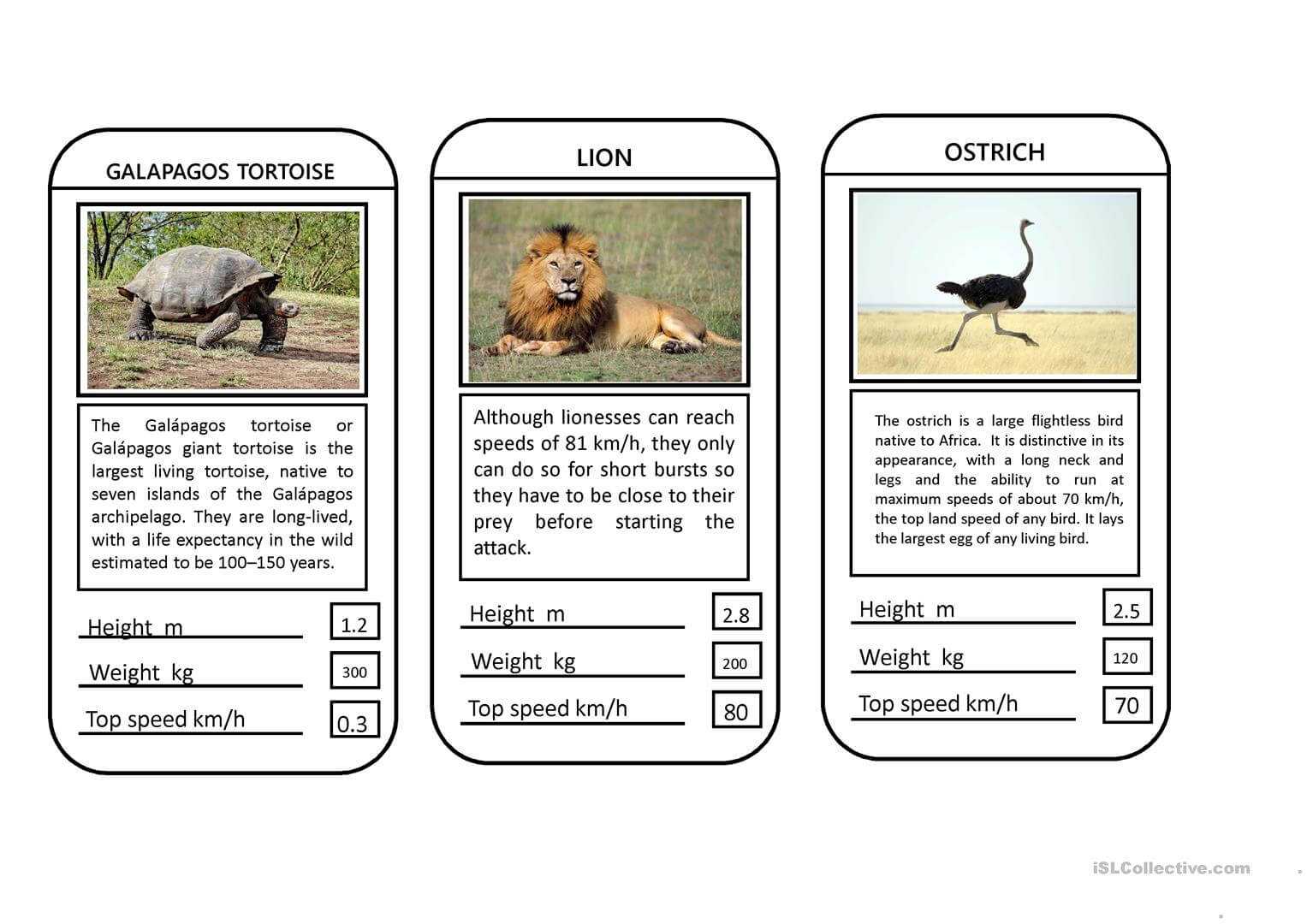 Animal Top Trumps Game – English Esl Powerpoints Within Top Trump Card Template