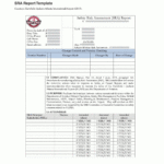 Appendix K – Sra Report Template | Airport Safety Risk Throughout Risk Mitigation Report Template