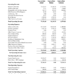 Audited Financial Statements Template Statement Sample With Llc Annual Report Template
