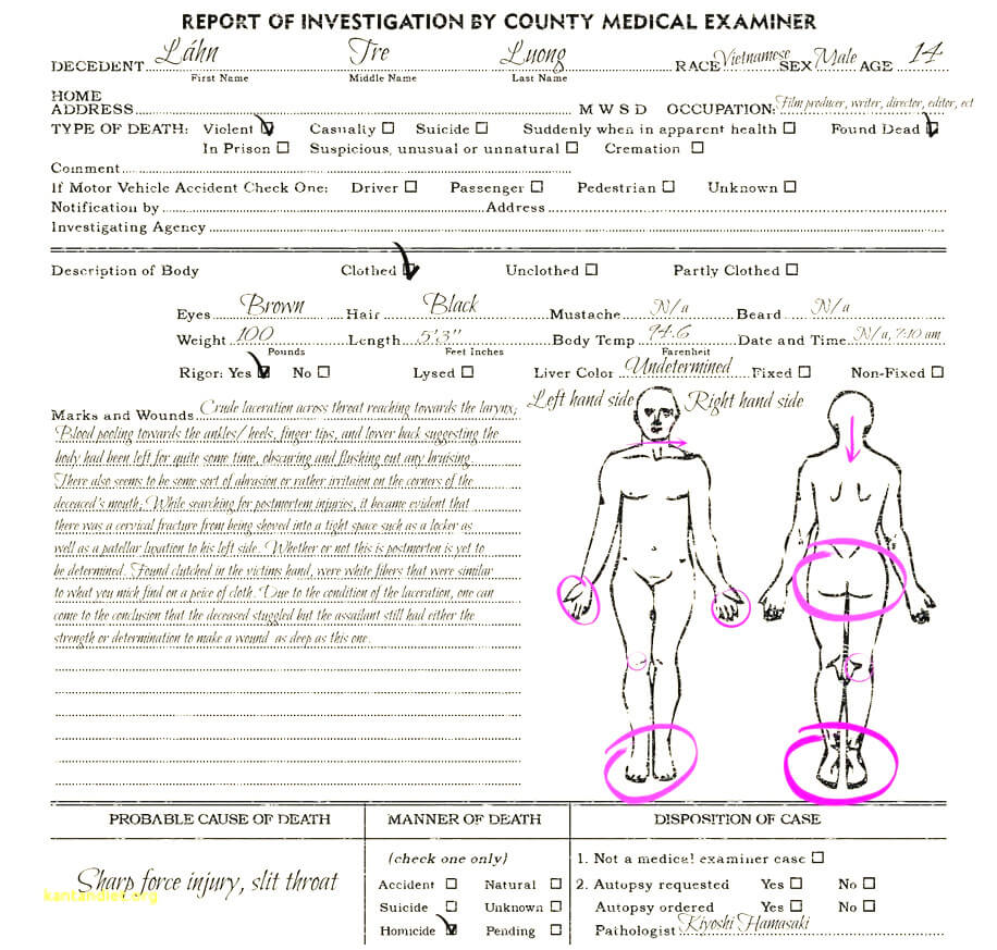 Autopsy Report Template Coroners Example Sample Uk Blank Intended For Coroner's Report Template