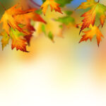 Autumn Leaves Backgrounds For Powerpoint – Flower Ppt Templates Inside Free Fall Powerpoint Templates