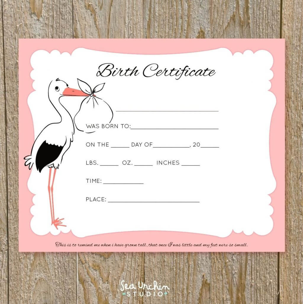 Baby Doll Birth Certificate Template Or With Free Printable In Baby Doll Birth Certificate Template