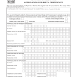 Bi 154 Birth Certificate – Fill Online, Printable, Fillable Throughout South African Birth Certificate Template