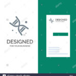 Bio, Dna, Genetics, Technology Grey Logo Design And Business In Bio Card Template