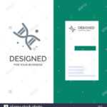 Bio, Dna, Genetics, Technology Grey Logo Design And Business In Bio Card Template