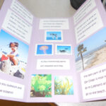 Biome Travel Brochure – As An Assessment, Have The Students With Brochure Templates For School Project