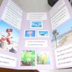 Biome Travel Brochure – As An Assessment, Have The Students With Brochure Templates For School Project