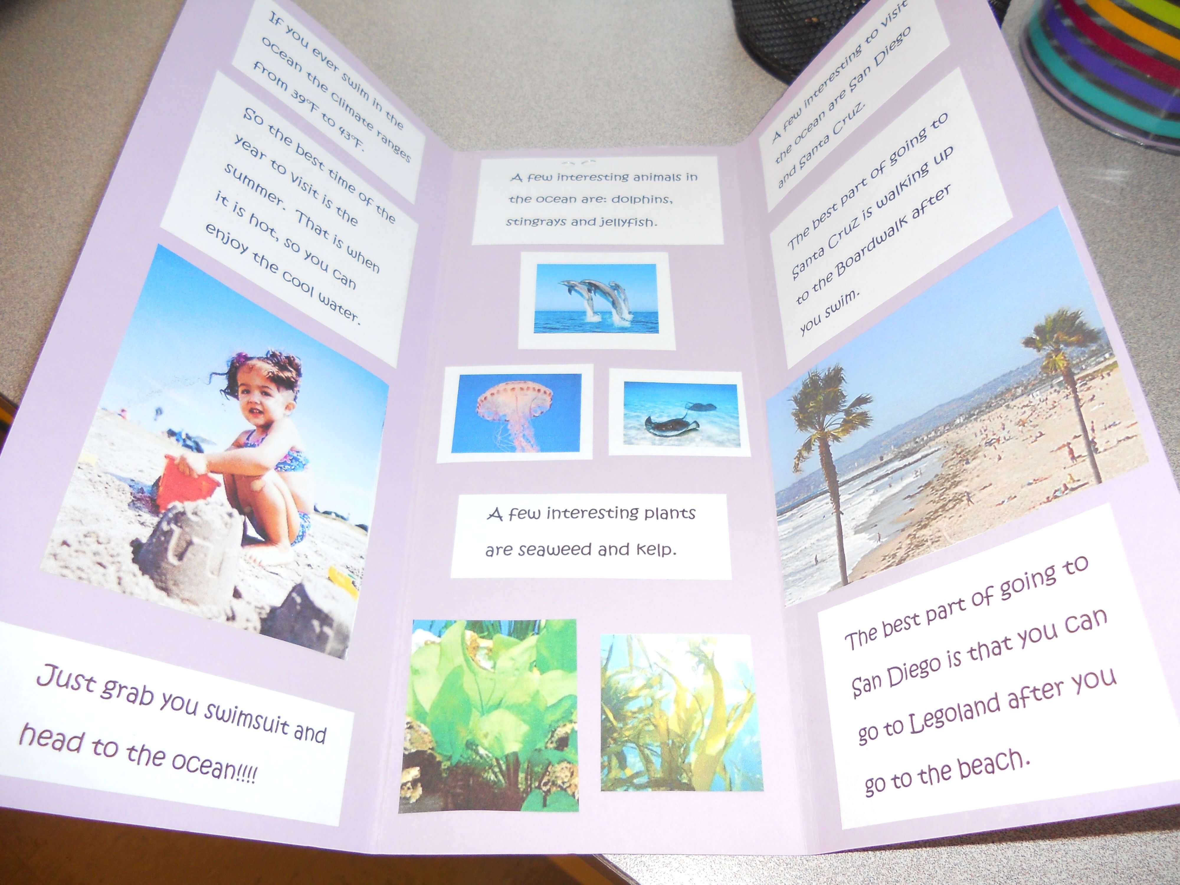 Biome Travel Brochure – As An Assessment, Have The Students With Brochure Templates For School Project