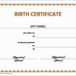 Birth Certificate Downtown Awful Toy Adoption Certificate Within Toy Adoption Certificate Template