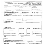 Birth Certificate Template For Microsoft Word Passport With Birth Certificate Template For Microsoft Word