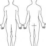 Blank Body | Final Tattoo Ideas | Human Body Diagram, Body throughout Blank Body Map Template