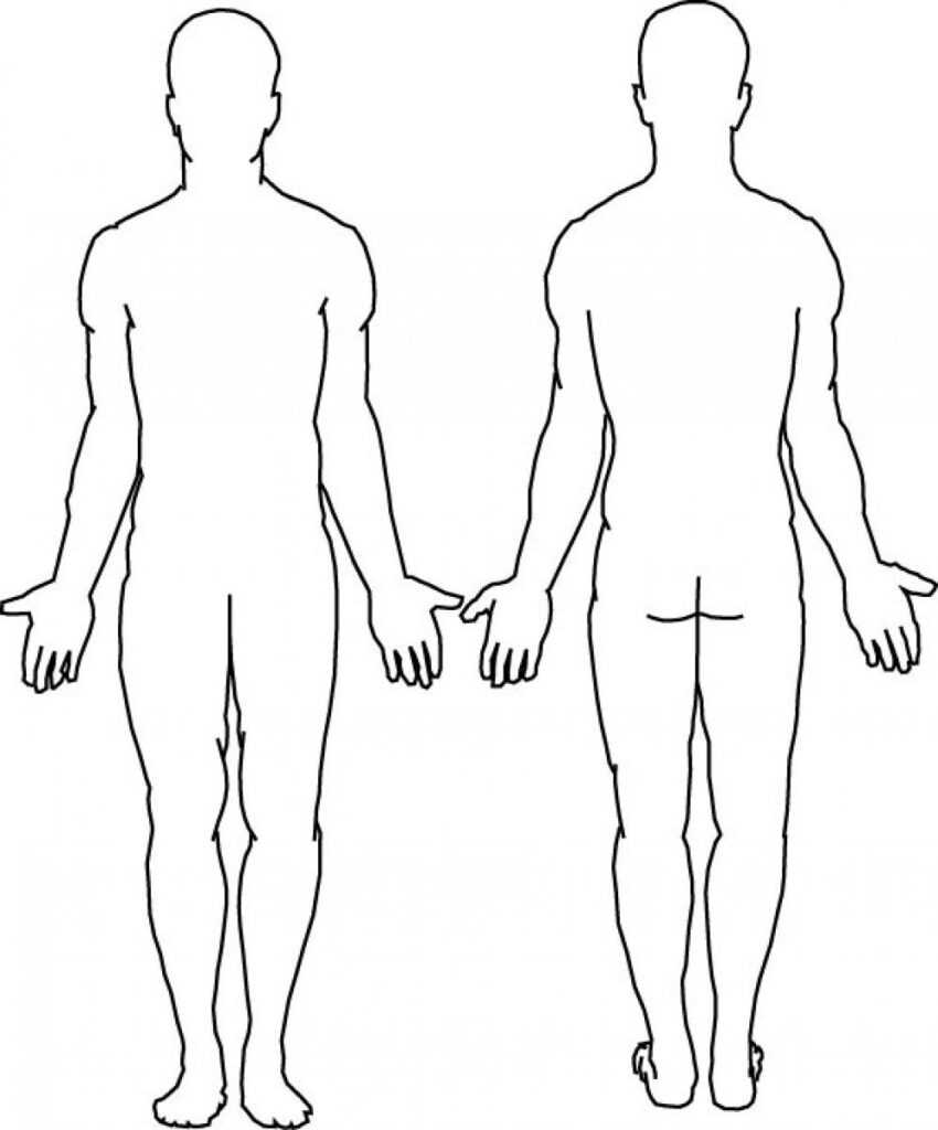 blank-body-map-template-atlantaauctionco