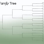 Blank Family Tree Chart Template | Geneology | Blank Family Intended For Blank Tree Diagram Template