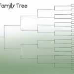 Blank Family Tree Chart Template | Geneology | Blank Family Intended For Blank Tree Diagram Template