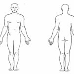 Blank Human Body Diagram . Blank Human Body Diagram Human In Blank Body Map Template