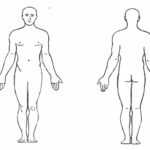 Blank Human Body Diagram . Blank Human Body Diagram Human In Blank Body Map Template