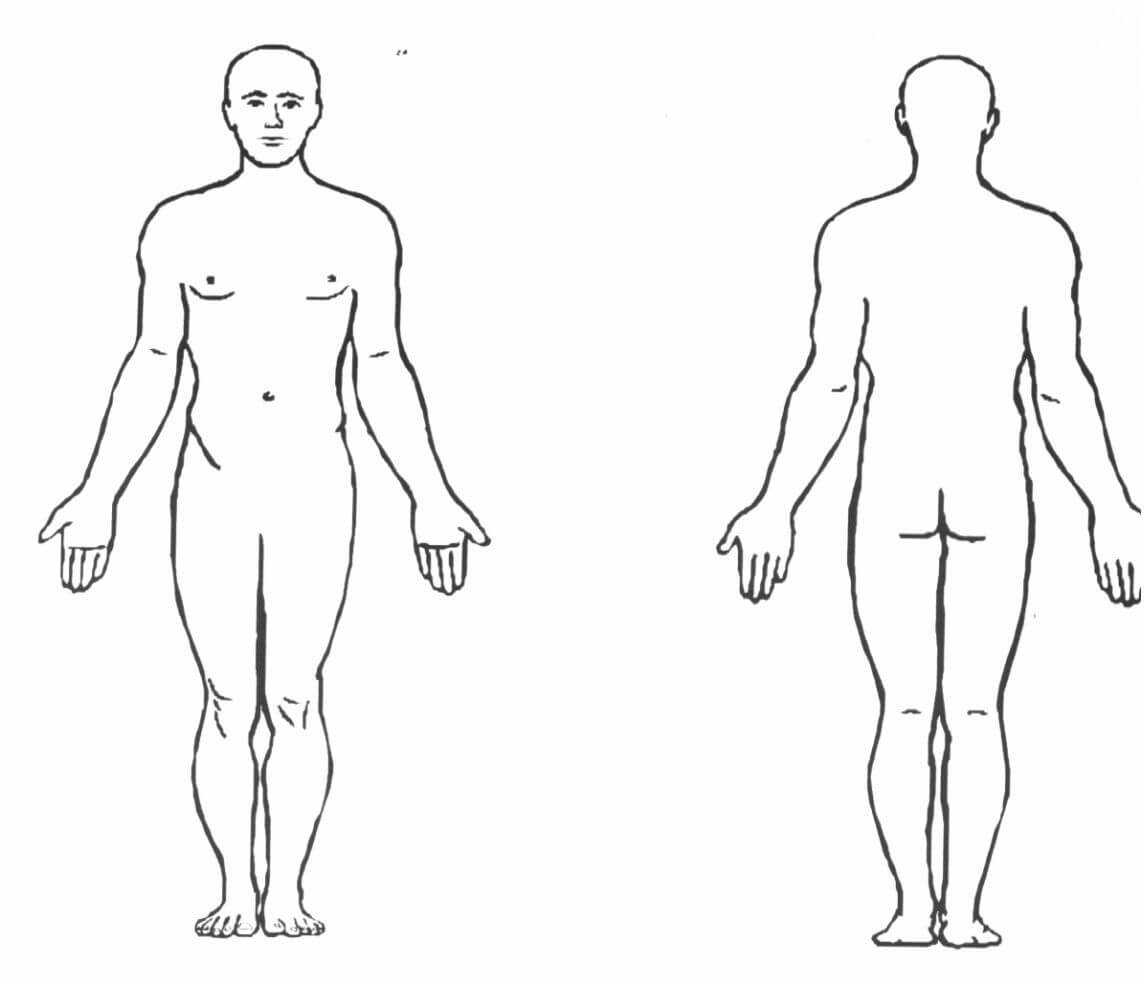 Blank Human Body Diagram . Blank Human Body Diagram Human In Blank Body Map Template