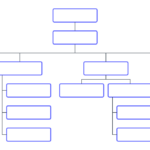 Blank Organization Chart Template – Hizir.kaptanband.co Inside Free Blank Organizational Chart Template