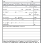 Blank Police Report Template Statement Witness Pdf With Police Incident Report Template