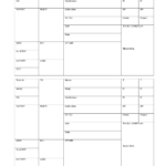 Blank+Nursing+Report+Sheets+For+Newborns | Nursing Patient In Nursing Assistant Report Sheet Templates