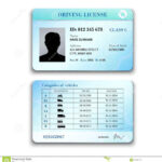 Blankrivers License Template 42388 Images Of South Intended For Blank Drivers License Template