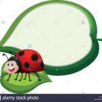 Border Template With Ladybug On Leaf Illustration Stock With Blank Ladybug Template